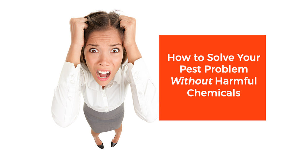 How to Solve Your Bug Problem Without Harmful Chemicals