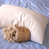 100% Natural Kapok Pillow - PureLivingSpace.com