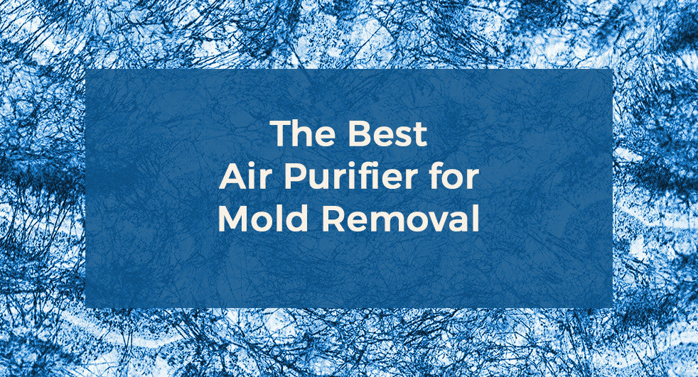 The Best Air Purifier for Mold Removal
