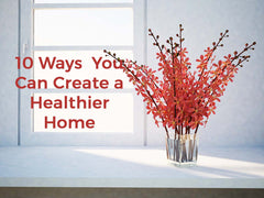 10 Ways You Can Create a Healthier Home
