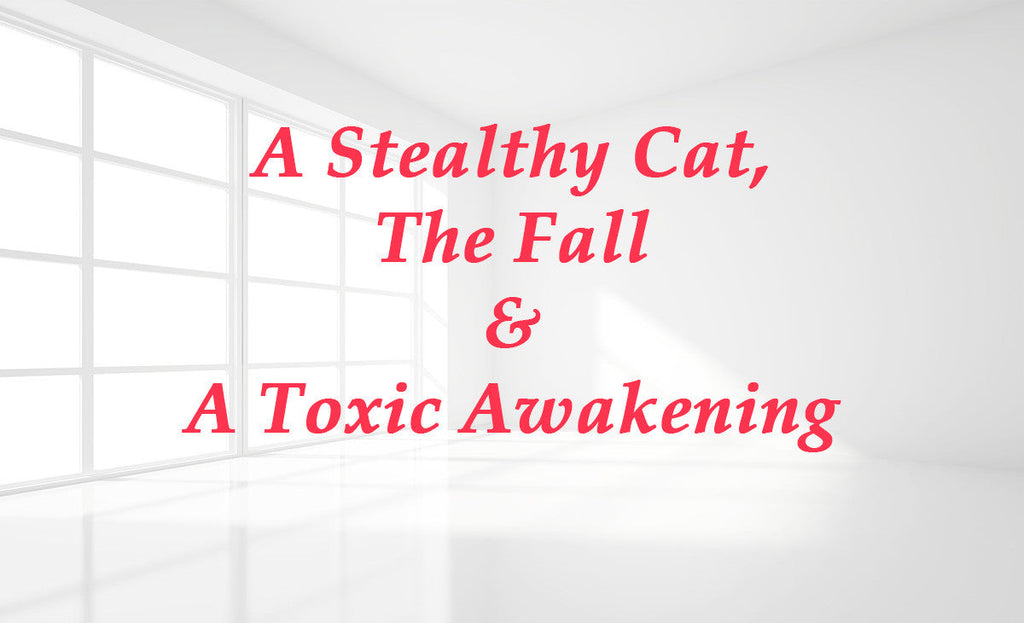 A Stealthy Cat, the Fall and a Toxic Awakening