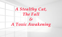 A Stealthy Cat, the Fall and a Toxic Awakening