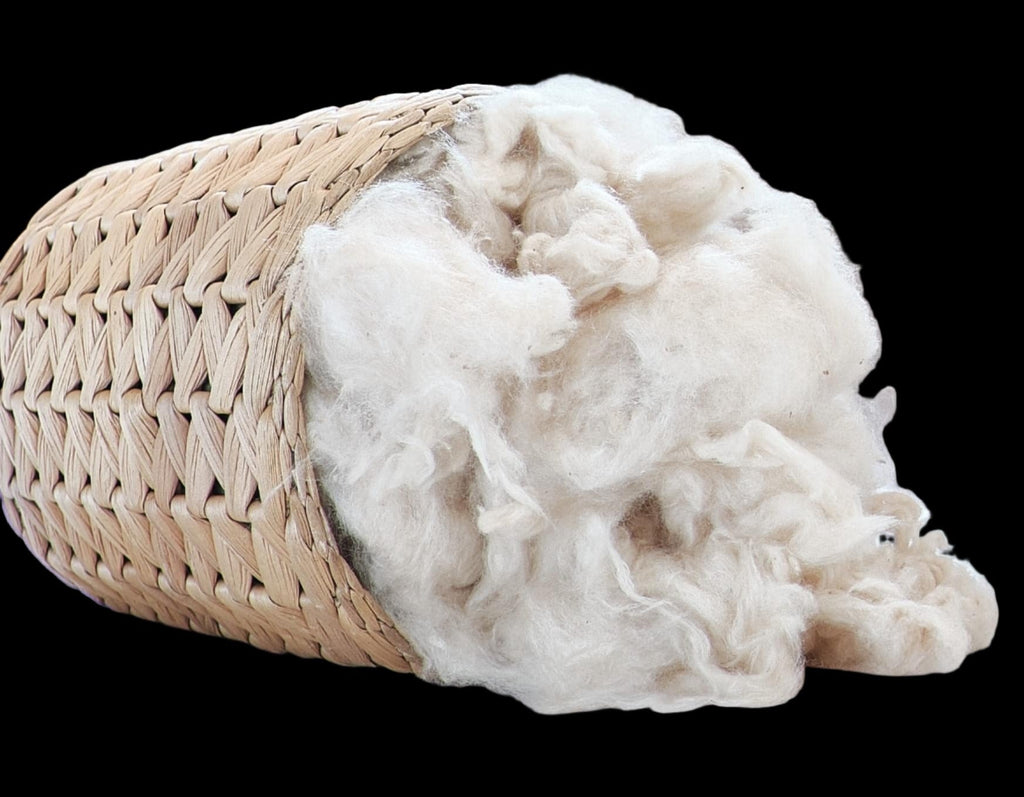 What is Kapok & Is It Natural?