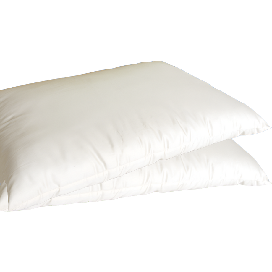 Pure Living Space Organic Cotton Pillow Standard Medium