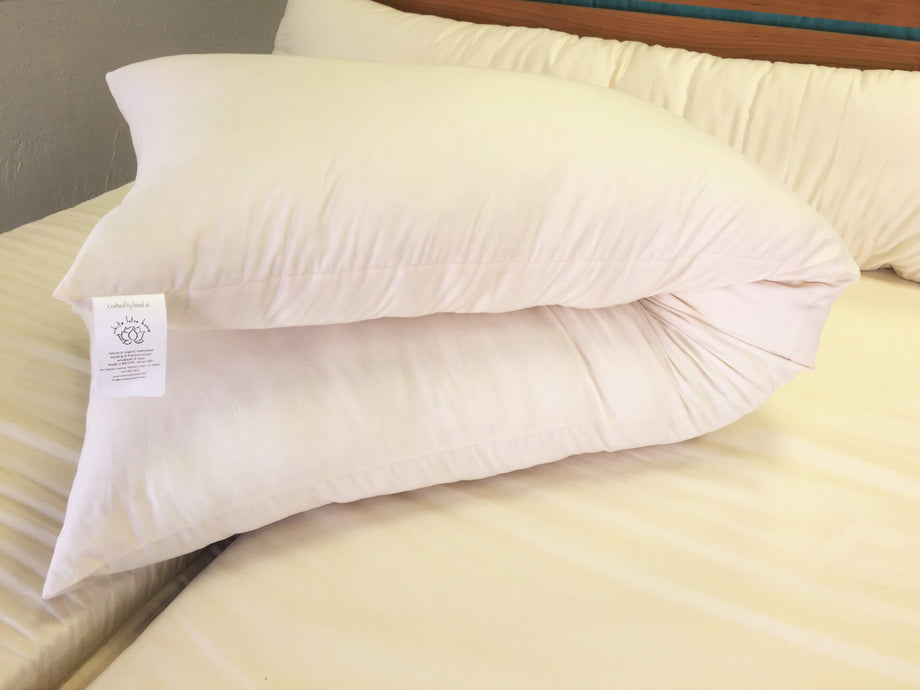 Body Pillow 100% Natural Shredded Latex - Main Image