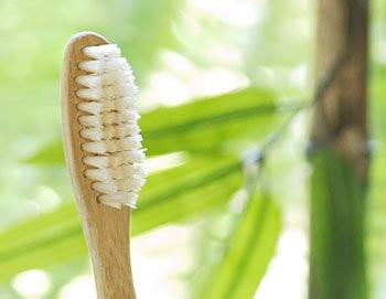 Bamboo Tooth Brush - Set of 4 - PureLivingSpace.com